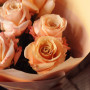7 персиковых роз фото 4