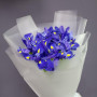 9 синих ирисов фото 2