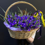 Корзина из 101 синего ириса — вид 3